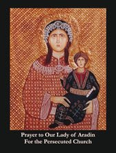 Load image into Gallery viewer, Our Lady of Aradin Prayer Cards (pk 10)
