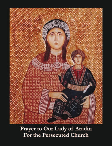 Our Lady of Aradin Prayer Cards (pk 10)